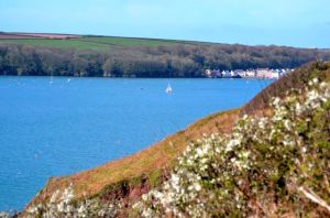 The glorious view to Dale Bay